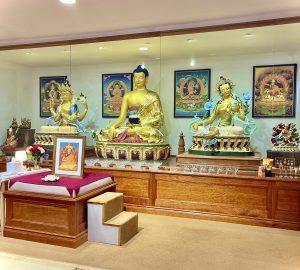 Kadampa Meditation Centre: A Precious Island of Clarity & Calm